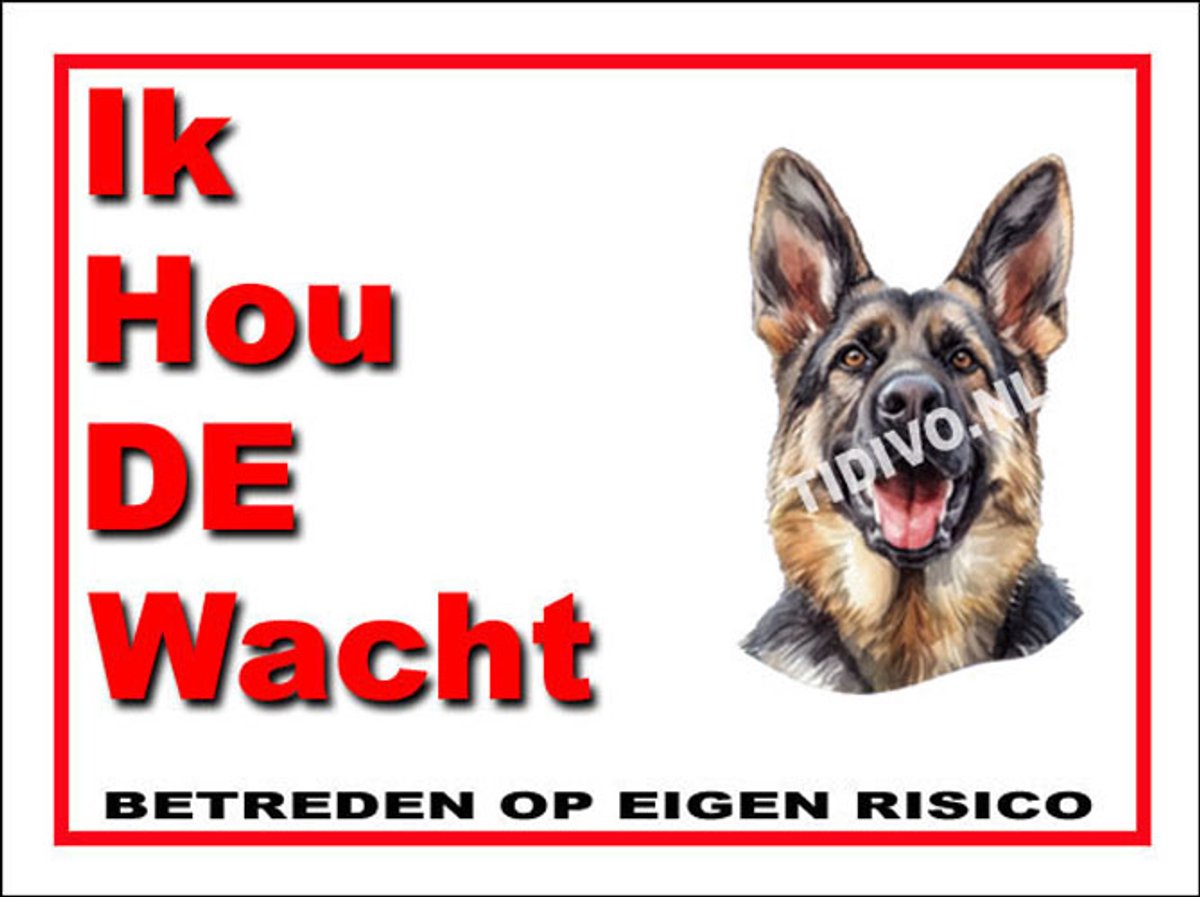 King Shepherd 7