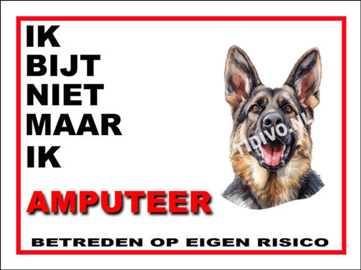 King Shepherd 5