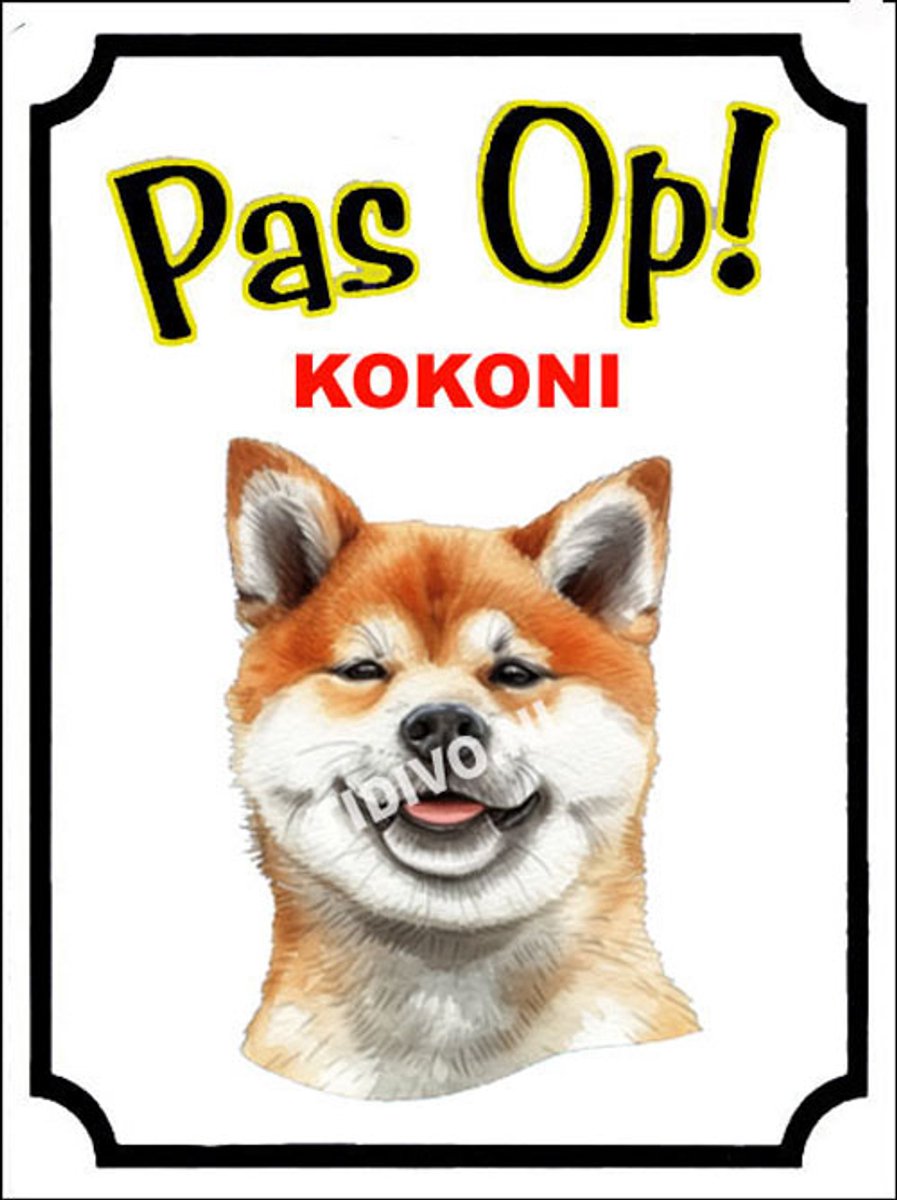 Kokoni 16