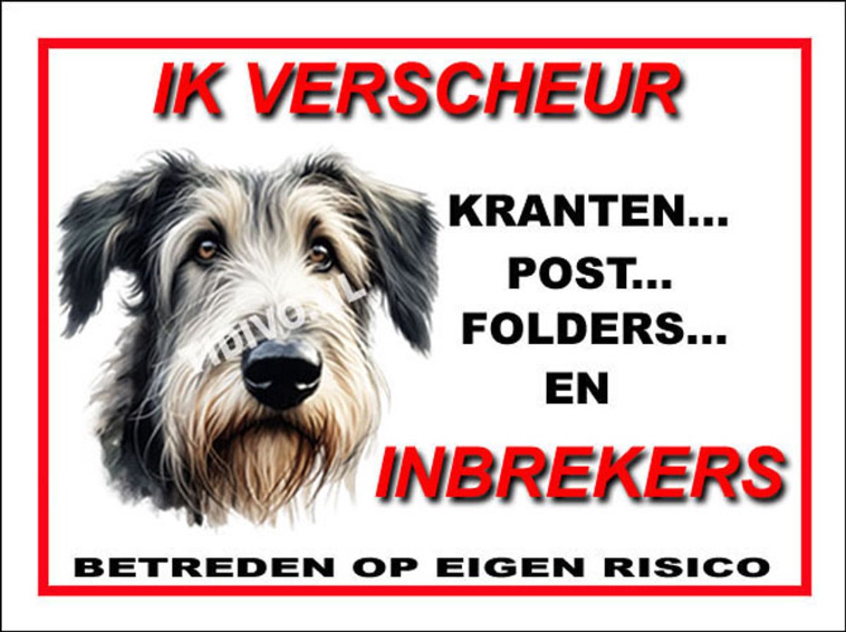Ierse Wolfshond 8