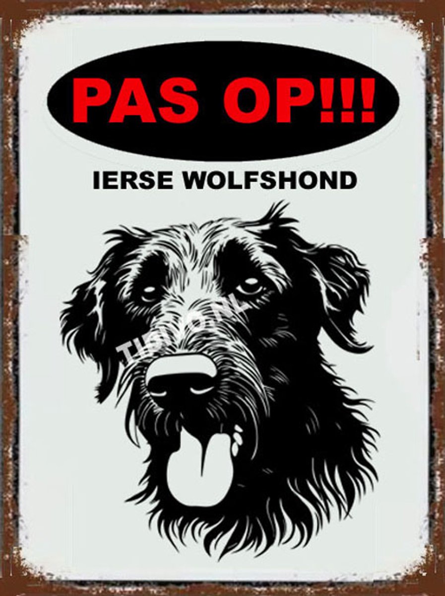 Ierse Wolfshond 17