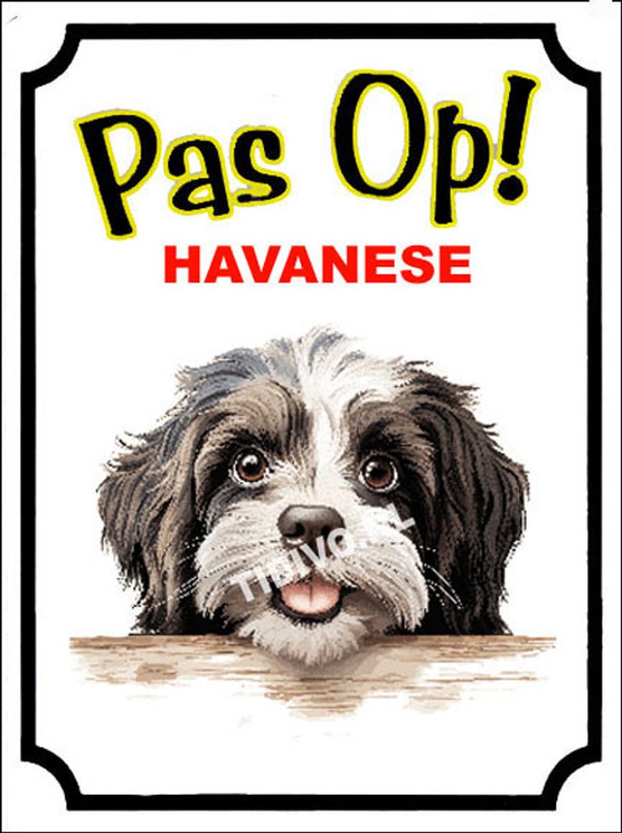 Havanezer 16