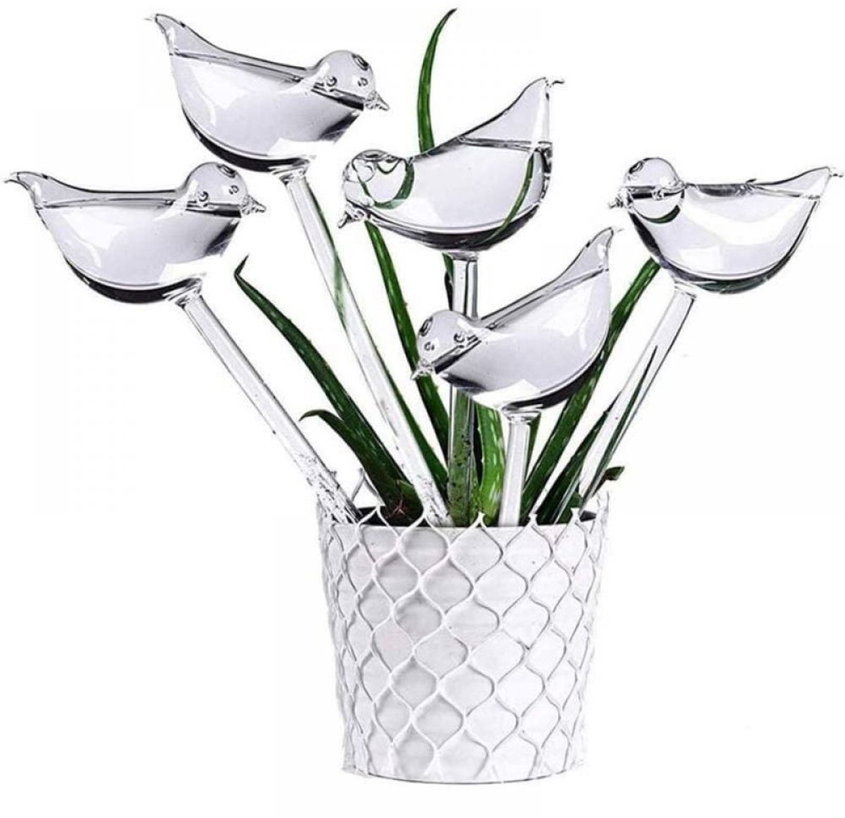 Zelfwaterende Vogels – 5 Stuks – Automatische Gieter – 100ml – Voor Binnen & Buiten – Planten Water Geven – PVC Imitatieglas – Decoratief en Functioneel