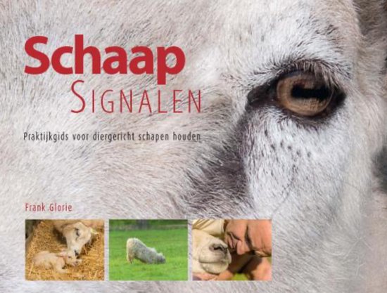 Schaapsignalen - cover