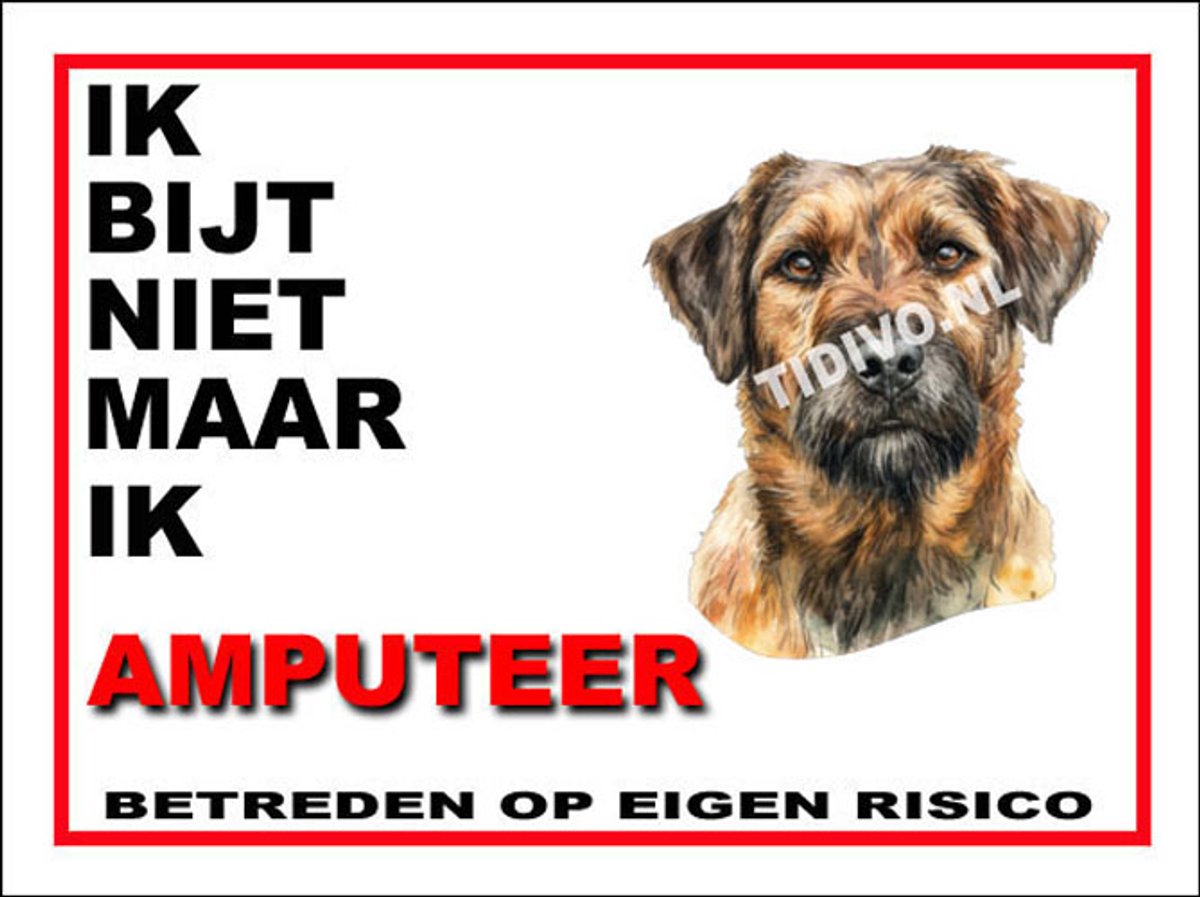 Kromfohrländer 5