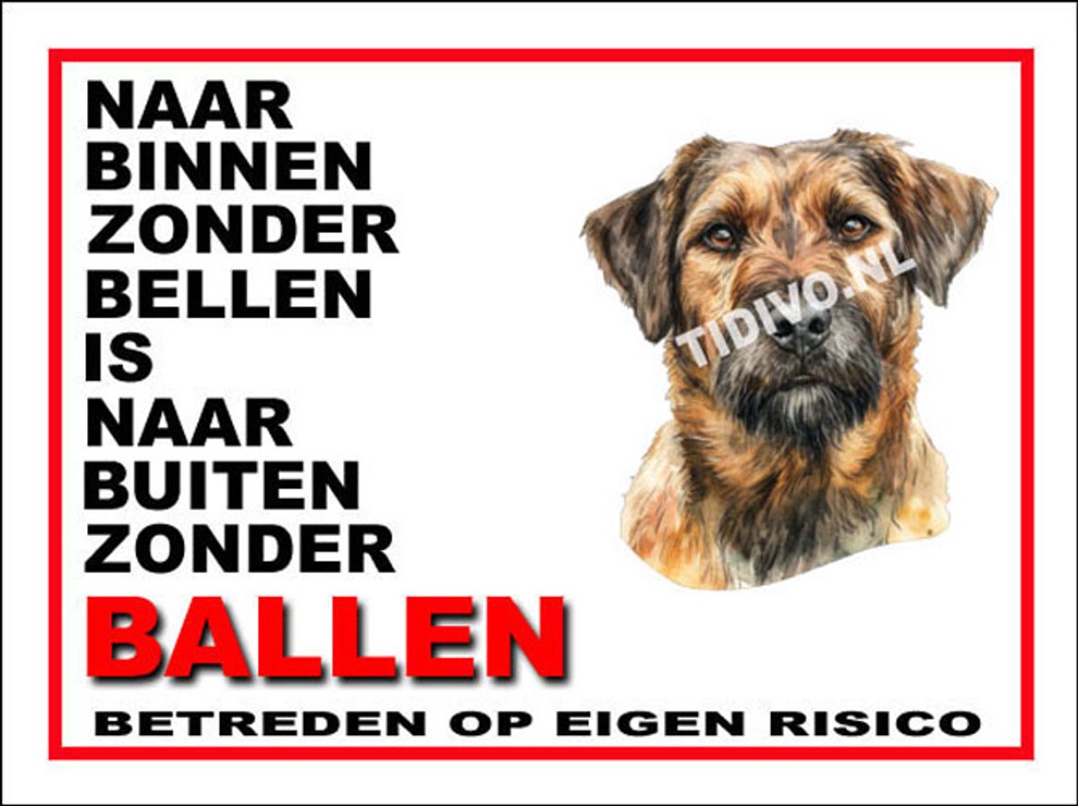 Kromfohrländer 11