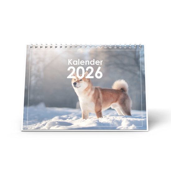 Grafoplas - Taco Calendario 2026 para Sobremesa, 8,3x11cm, Vista Día Página, Calendario Contribuyente, Papel 70 Gramos, Certificado FSC, Material Oficina Perfecto para Escritorio, De Enero a Diciembre Grafoplas - Taco Calendario 2026 para Sobremesa, 8,3x11cm, Vista Día Página, Calendario Contribuyente, Papel 70 Gramos, Certificado FSC, Material Oficina Perfecto para Escritorio, De Enero a Diciembre