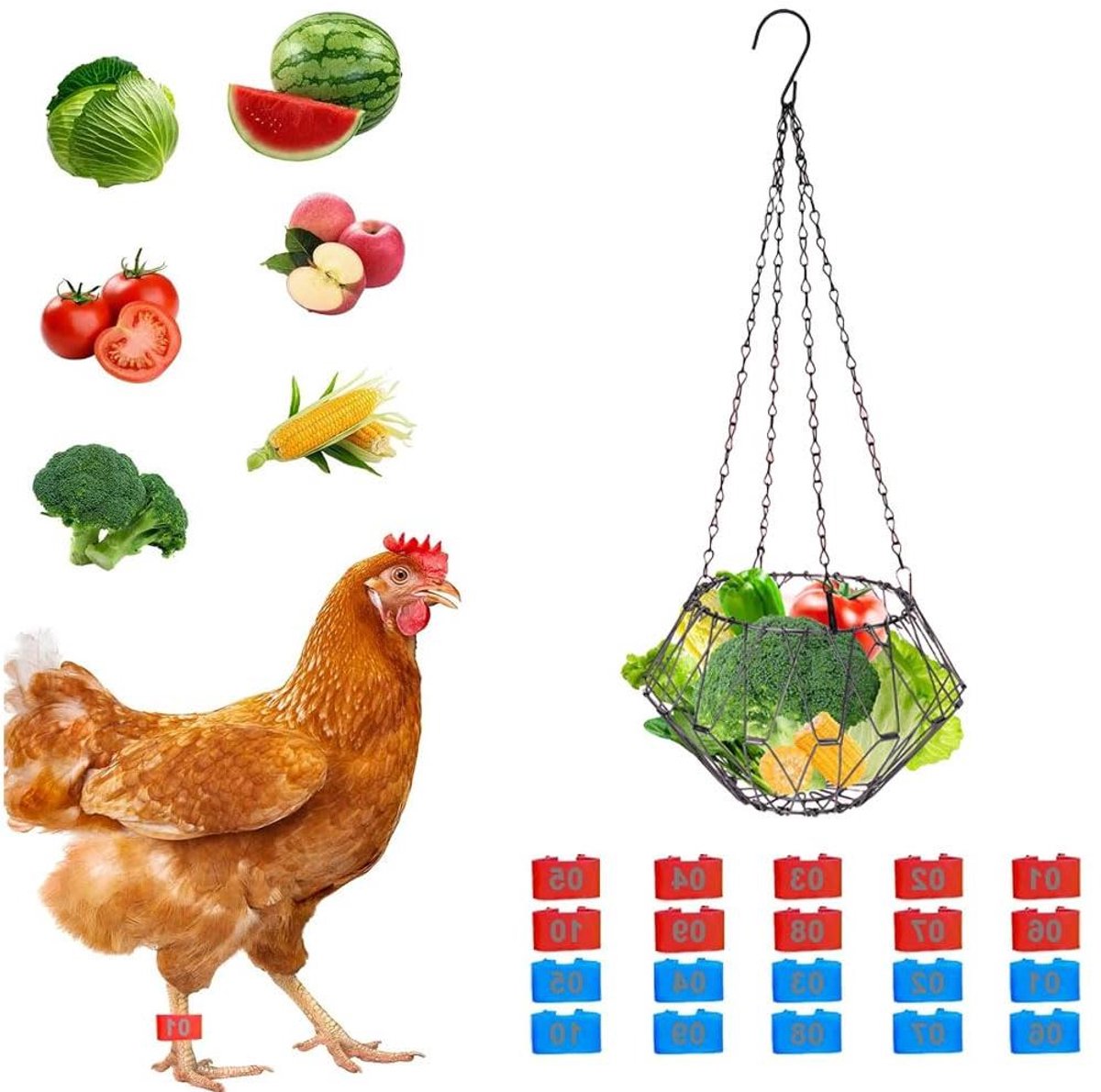 JGS Premium - Hangende Kippen Fruit Voeder met 20 Kippenpoot Ringen Voor Kippenhokken - Kippen Speelgoed en Accessoires - 44cm.
