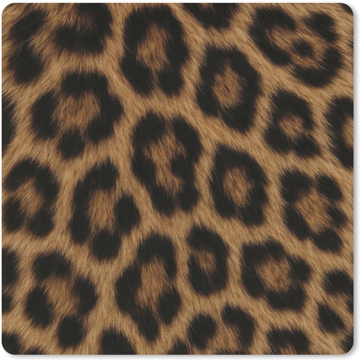 Muismat 20x20 cm - Mousepad Pantervacht - Realistisch - Bruin - Muismatten