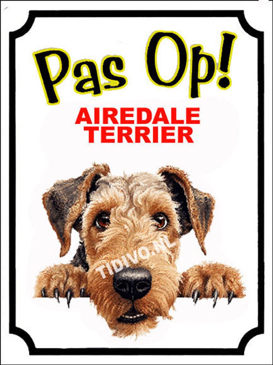 Airedale Terrier 16