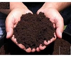 Vermicompost | Wormenmest zak ca 40 Liter