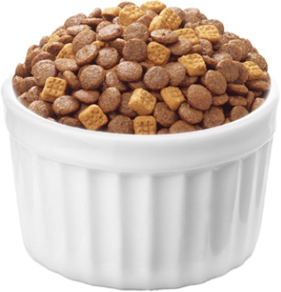 Wanpy - Kattenvoer - Droogvoer - Zalm - Huid & Vacht- 8 kg - Graanvrij