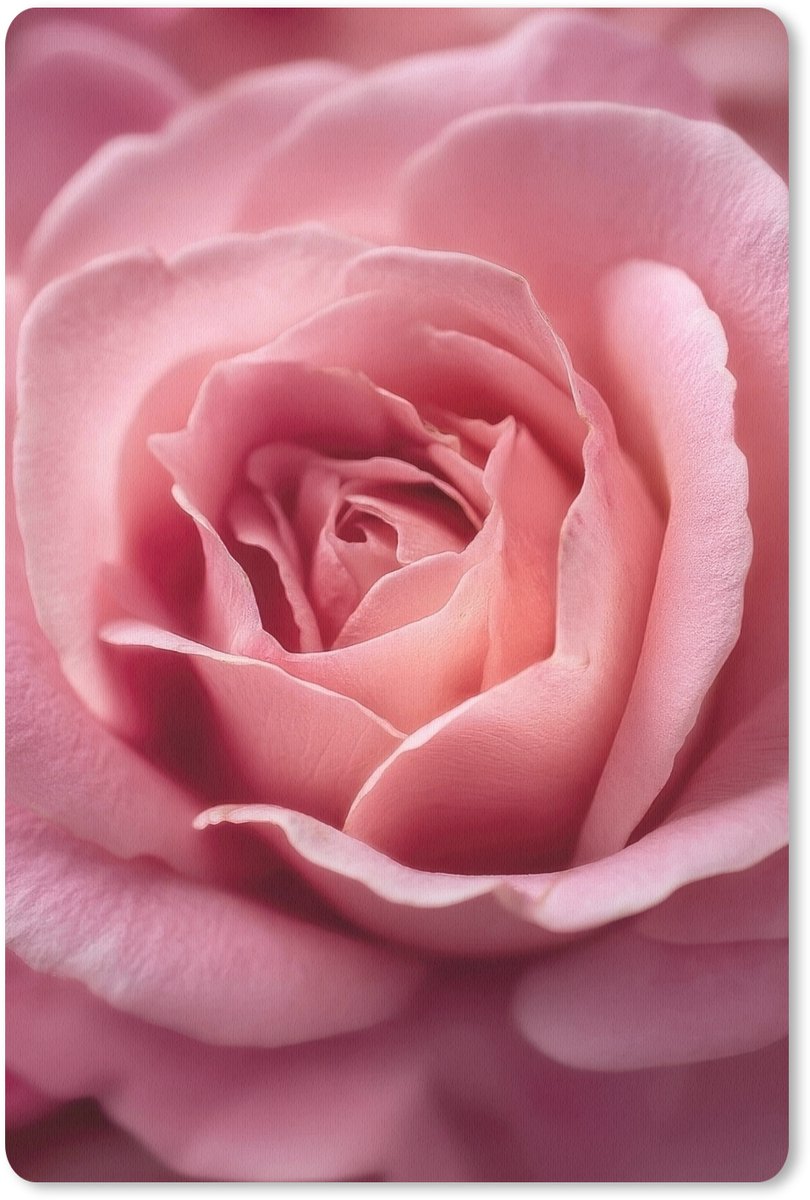 Muismat 18x27 cm - Mousepad Roze - Roos - Romantisch - Muismatten