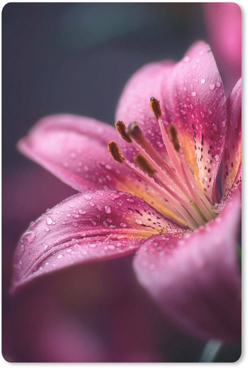 Muismat 18x27 cm - Mousepad Roze - lelie - Dauwdruppels - Muismatten