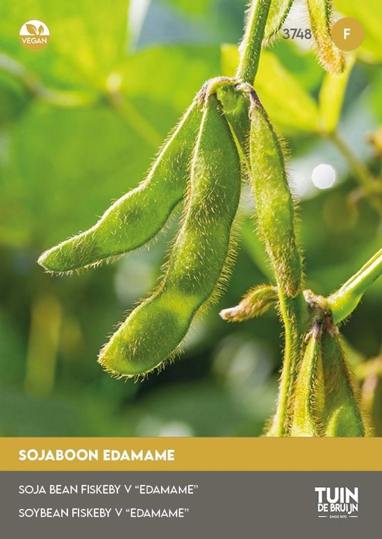 Sojaboon Fiskeyby Edamame Zaden