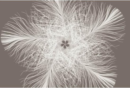 Papier peint photo Komar Plume 368x248 cm XXL4-006