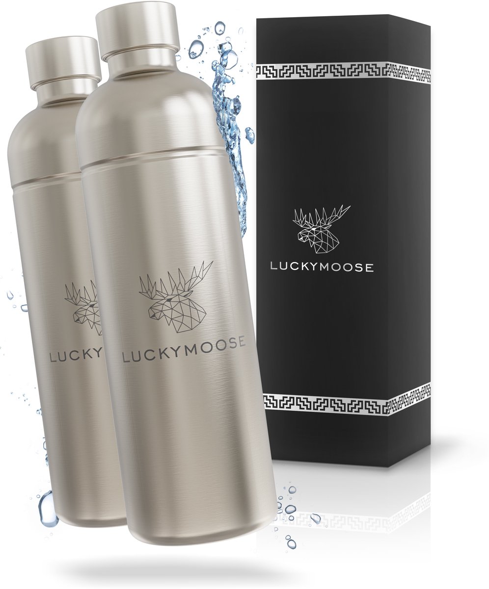 Luckymoose RVS Drinkfles 1,25L - Universeel geschikt voor Bruiswatertoestellen - Set van 2 - Infinity Roestvrijstalen Waterfles - Herbruikbaar - Zilver