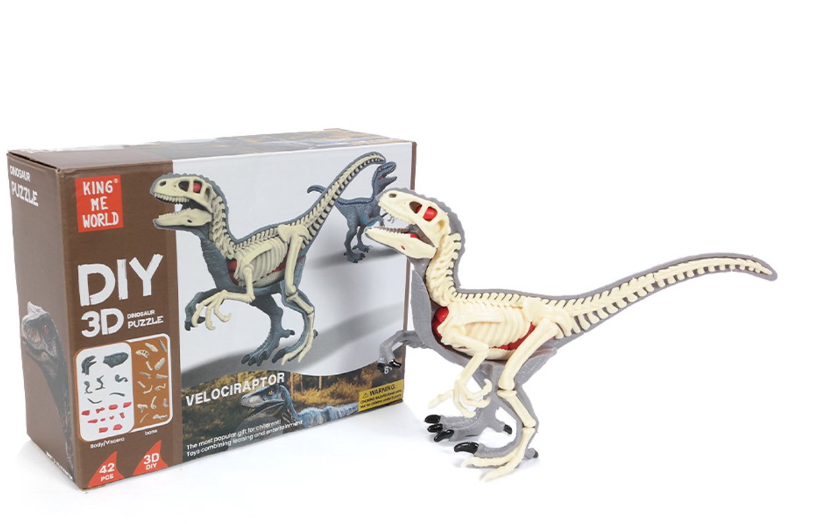 PIA Soft Toys Velociraptor - 3D anatomie model van een roofdino