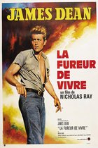 Poster-James Dean-La Fureur de Vivre,1955, Originele Filmposter, Premium Print, Professioneel Fotopapier