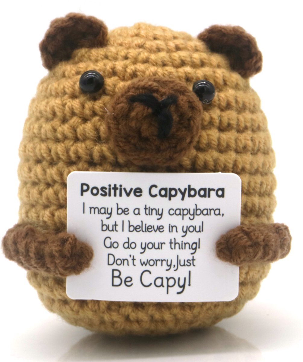 Geluksknuffeltje Positive Capybara - IT'S A PRESENT