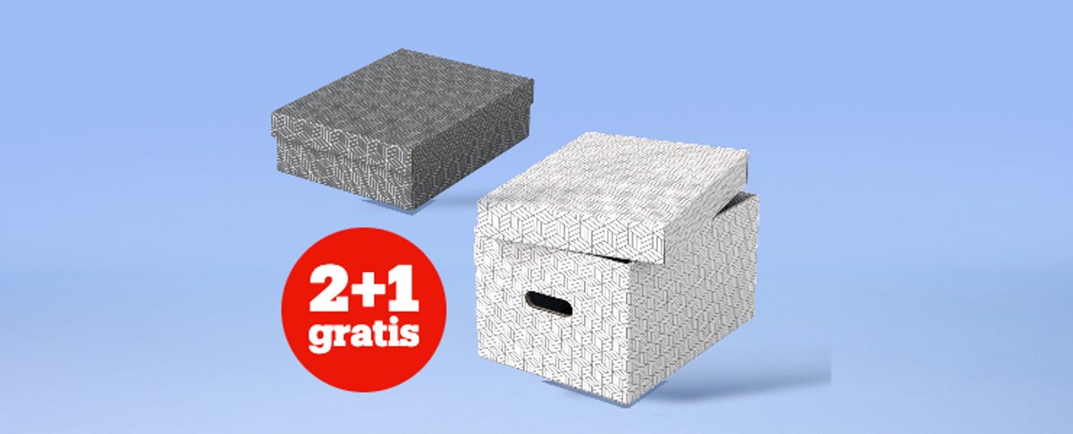 2+1 sur