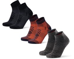 DANISH ENDURANCE Wandelsokken - Merinowol Lage Sokken Antiblaren - Unisex - 3 paar - Maat 39-42