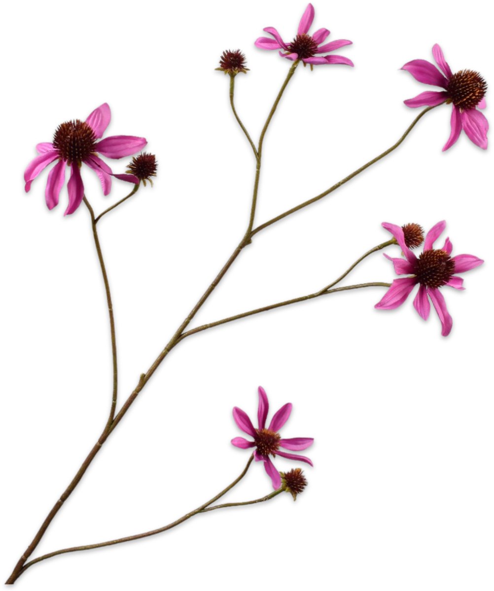 Silk-ka Kunstbloem-Zijden Bloem Rudbeckia Tak Roze 91 cm