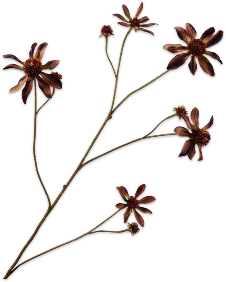 Silk-ka Kunstbloem-Zijden Bloem Rudbeckia Tak Bordeaux-Bruin 91 cm