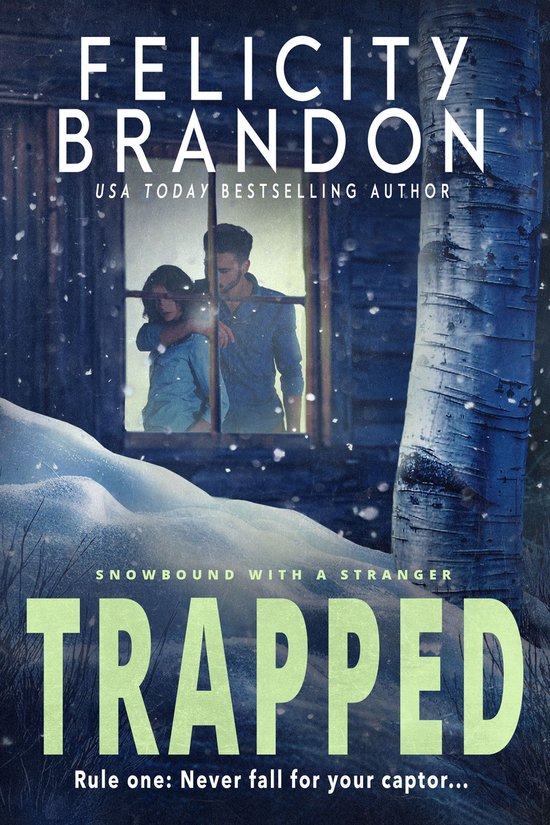 Snowbound with a Stranger 2 - Trapped