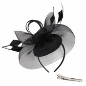2023 Fascinator Hoed Bloem Veer Mesh Thee Party Haarband Voor Vrouwen 90s Mannelijke Hoofdband (c-AG, Een maat