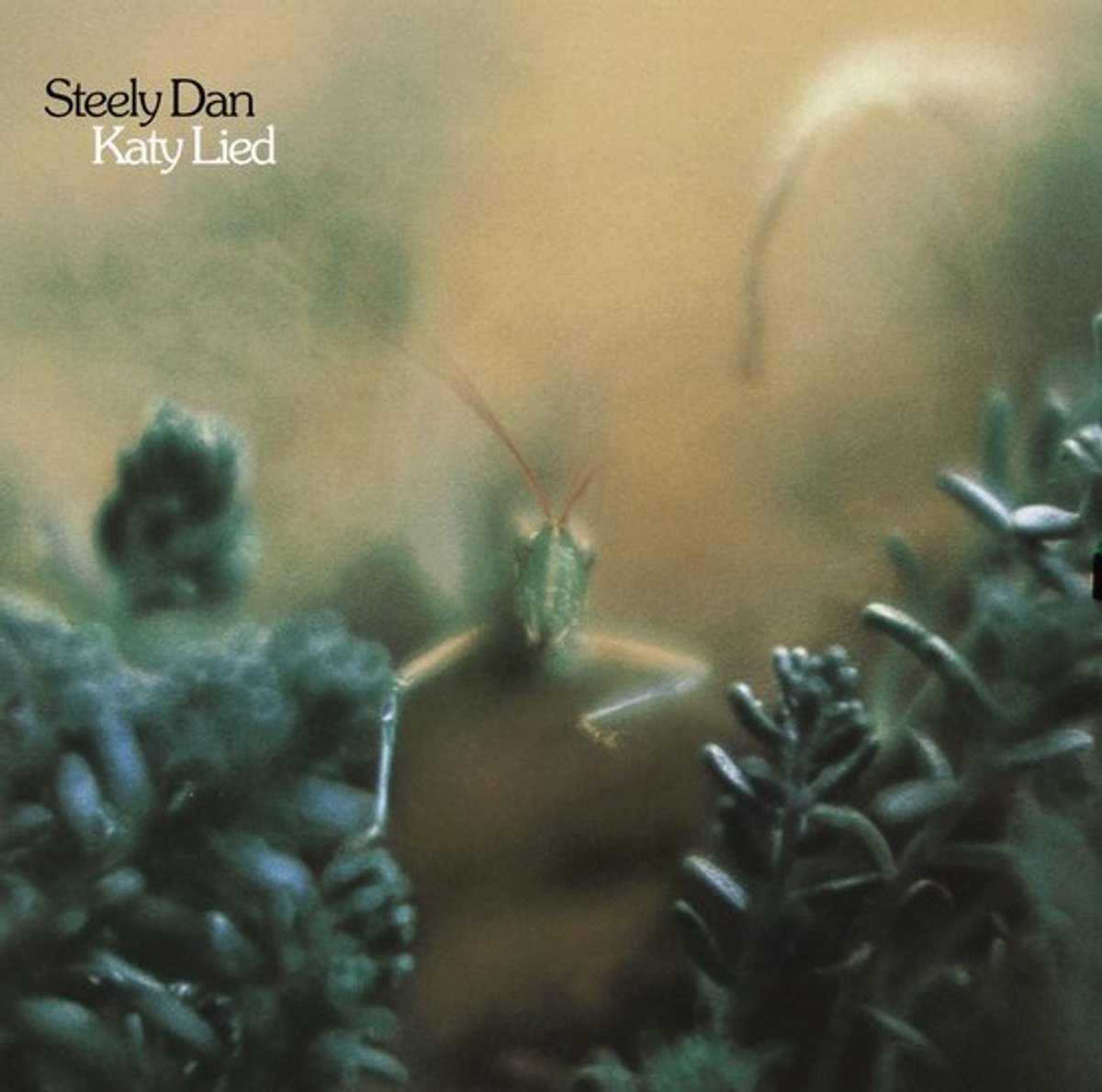 Steely Dan - Katy Lied - HQ 2LP 45rpm - 200 gram