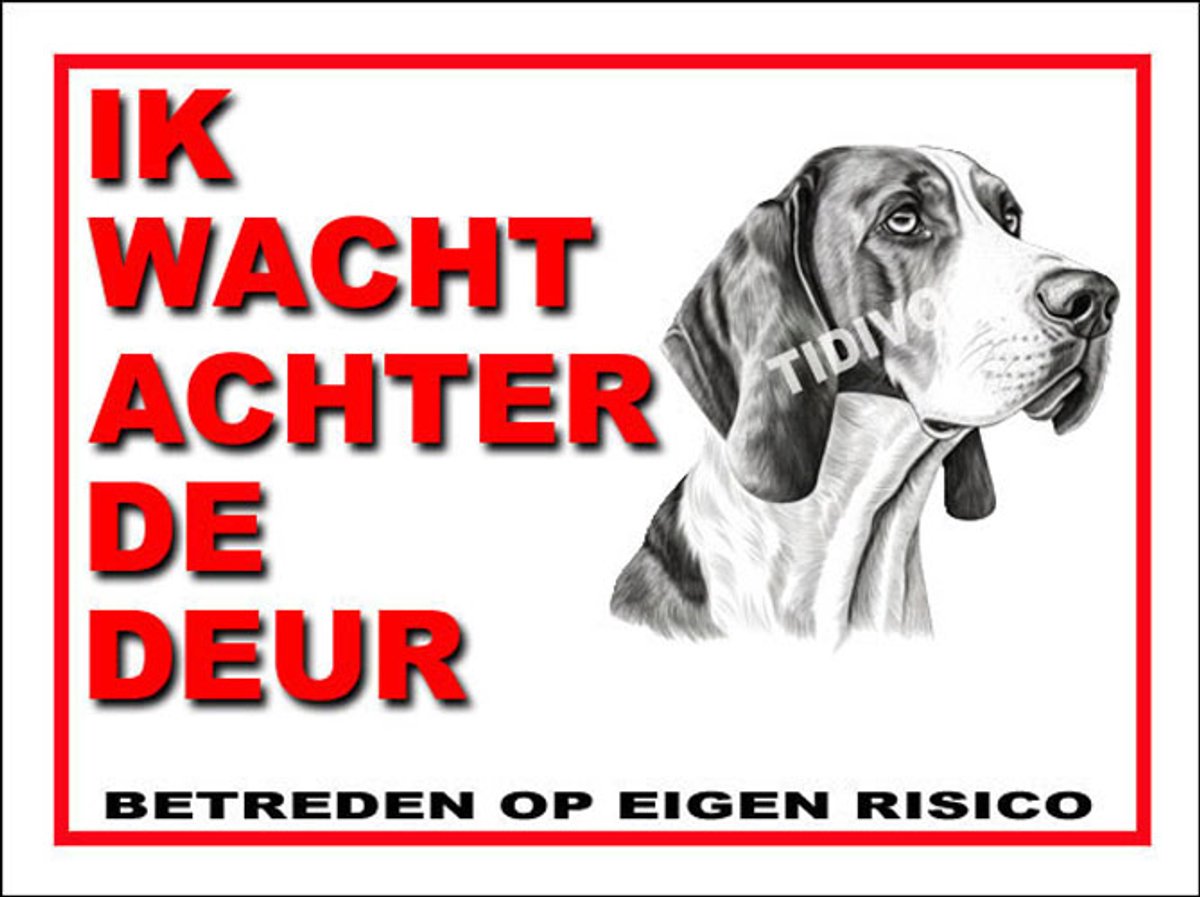 Treeing Walker Coonhound 10