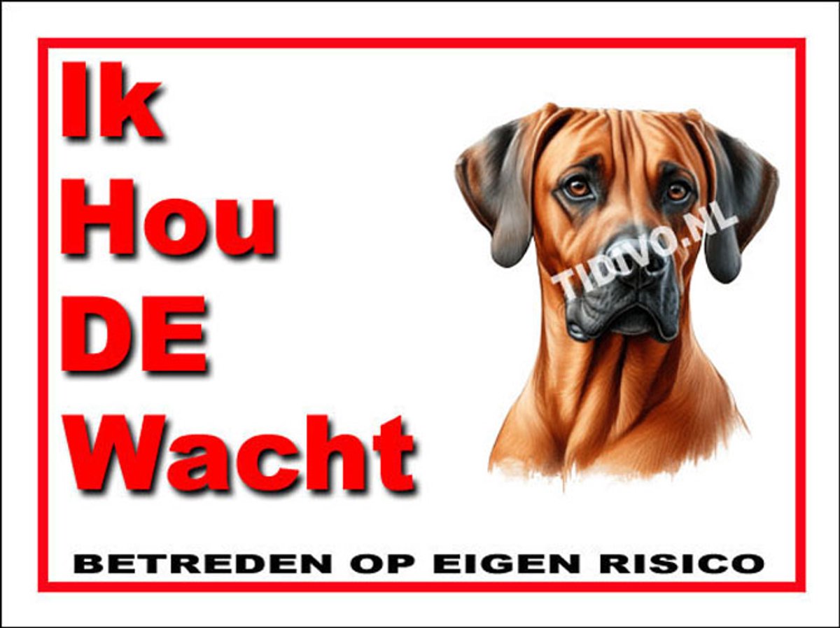 Weimaraner Rhodesian Ridgeback 7