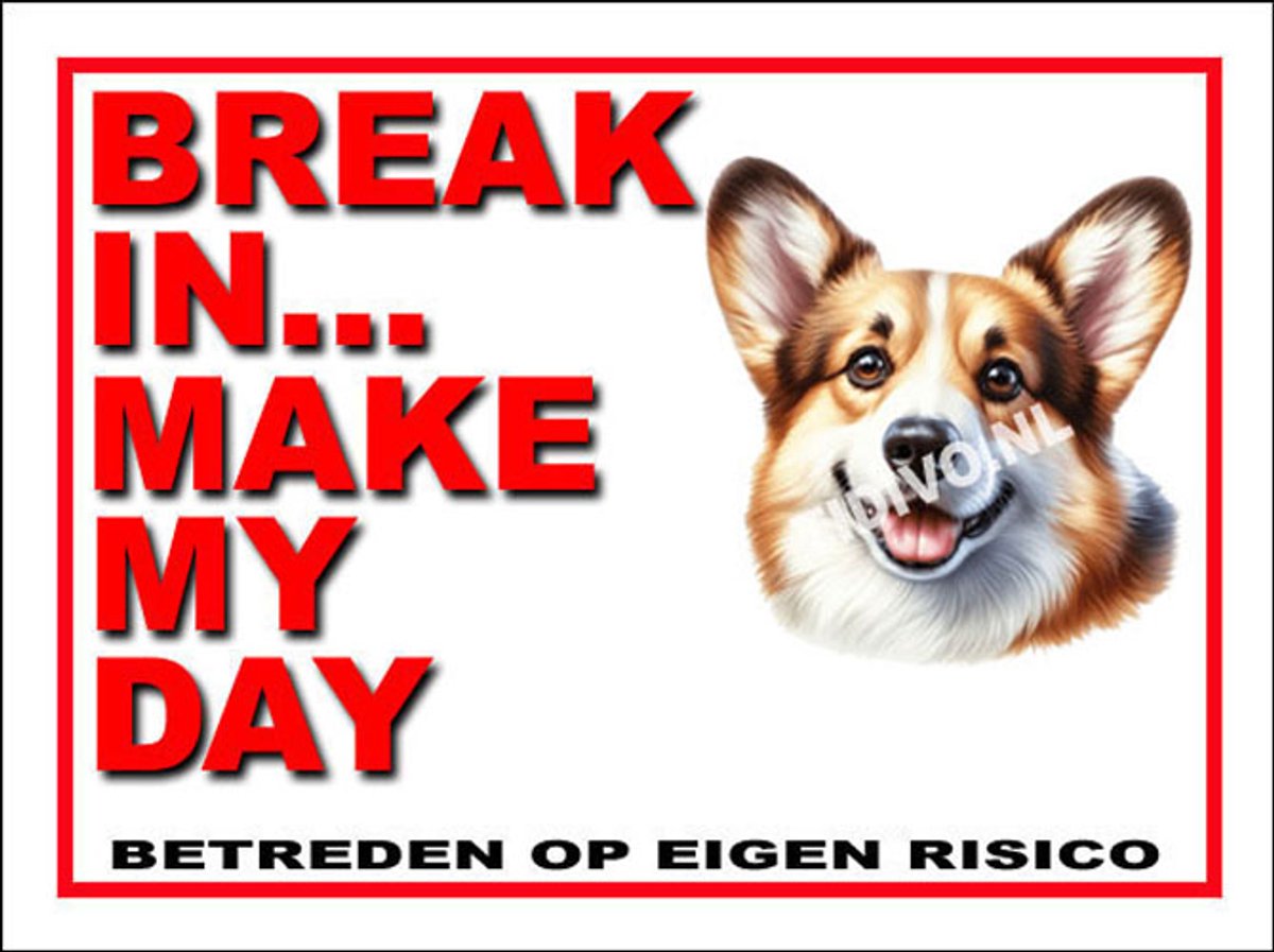 Welsh Corgi 1