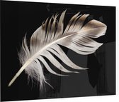 Veer op zwarte achtergrond - Foto op Plexiglas - 60 x 40 cm