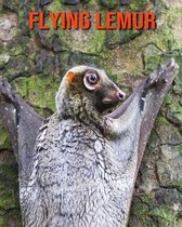 Flying Lemur