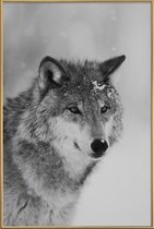 JUNIQE - Poster met kunststof lijst The Wolf -40x60 /Grijs