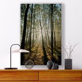 Plexiglas Schilderij Sunrise Forest