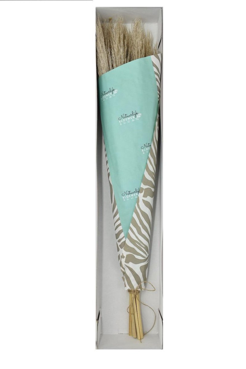 Droogbloemen - Pampas pluimen - 100 cm - 10 stuks - Naturel dried flowers - Natuurlijk Bloemen