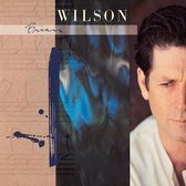 Brian Wilson - Brian Wilson (LP)