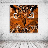 Wall Art Owl Acrylglas - 80 x 80 cm op Acrylaat glas + Inox Spacers / RVS afstandhouders - Popart Wanddecoratie