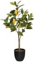 Kunstplant - Citroenboom - 70cm - 179314
