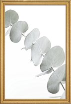 JUNIQE - Poster met houten lijst Eucalyptus White 3 -20x30 /Groen &