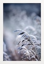 JUNIQE - Poster in houten lijst Frosty Morning 5 -40x60 /Blauw & Grijs