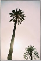 JUNIQE - Poster met kunststof lijst Palm Trees -13x18 /Roze