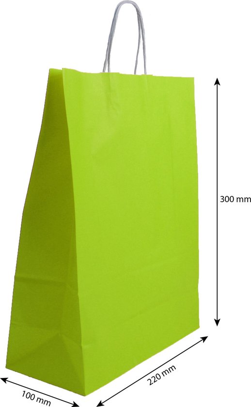 Papieren draagtas groen - Papieren tasjes - 220 x 300 mm - Per 100 stuks |  bol.com