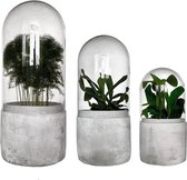 Set van 3 stolpen Ø12 Ø10 en Ø8 | Terrarium planten, hoge luchtvochtigheid planten | Kweekkas, kweekkasje, broeikas voor stekjes | Jewel orchid | Cement, betonnen voet
