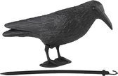 Halloween - Zwarte decoratie raaf/kraai 38 cm - Halloween/horror versiering