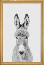 JUNIQE - Poster met houten lijst Donkey Classic -40x60 /Wit & Zwart