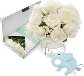 Geboortegeschenk - Boy | Brievenbusbloemen | Brievenbus cadeau